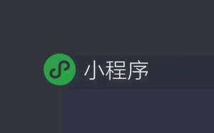 小程序搜索優(yōu)化指南(SEO)來了！